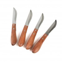 CC1114 Vineyard Steak Knives - Product on White