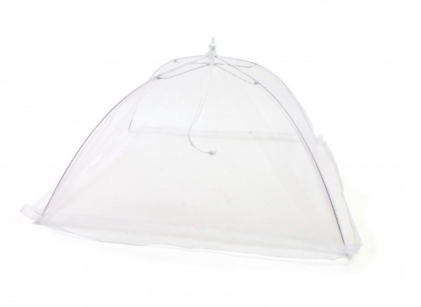 CC2015 Small Square Food Tent - Product on White