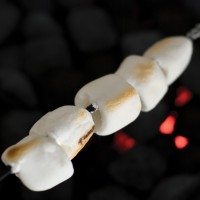 CC5066 Marshmallow Skewers - Styled