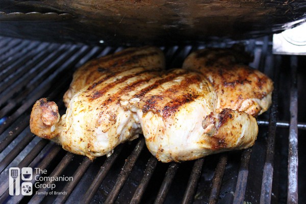 Spatchcocked and grilled chicken